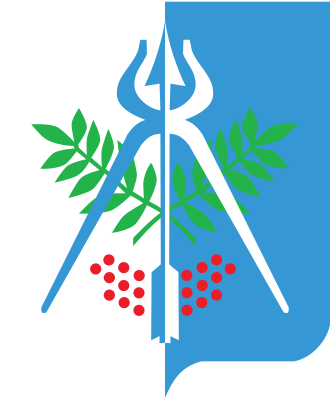 Городская дума Ижевска