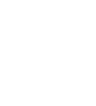 IntesGroup